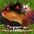 Rhonda Anderson's profile image