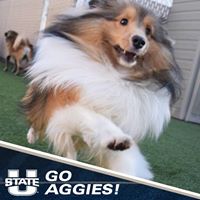 Ken Passarella's profile image