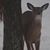 Lorie Faulkner's profile image