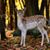 Joyce Mendel's profile image