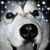 Stacy Buchanan's profile image