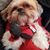 Greg Mckay's profile image