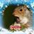 Ann Paulson's profile image