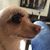 Ryan Brisket Briscoe's profile image