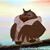 Sandy Little's profile image