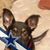 Brandon Casados's profile image