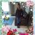 Dianne Wiley's profile image