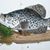Charles Rawson's profile image