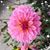 Stephenie Reed's profile image
