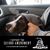 Robin Adams Meredith's profile image