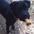 Jody Harland's profile image