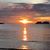Maria Lira Rostagno-Willhite's profile image