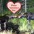 Renee Gibbons's profile image