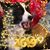 Karen Bender's profile image