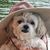 Linda Doug Chambliss's profile image