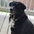 Barbara Stoddard's profile image