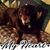 Christina Socha-Luebke's profile image