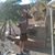 Omar Yanes's profile image