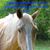 Beth Senn's profile image