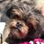Timberley Hidalgo's profile image