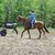 Debbie Wiles's profile image