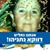 מאיר אזרזר's profile image
