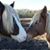 Sharon Simmons-Keller's profile image