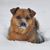 Stacey Lopes's profile image