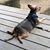 Barb Voyer's profile image