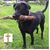 Kathy Potrzebski's profile image