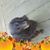 Jill Heslep Downing's profile image