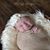Jessica Brauninger's profile image