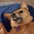 Donna Beers's profile image