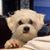 Oliver Michael's profile image