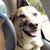 Chris Ciccarelli's profile image