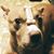 Rose Valdez's profile image