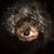 Dawn Pine-Suttmeier's profile image