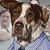 Art Whitton's profile image