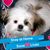 Connie Smith's profile image