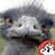 Adrienne Ap's profile image