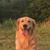 Ap Ril's profile image