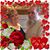 Linda Probst Whigham's profile image