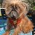 Nicholas Ray Bradford's profile image