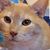 Donna Luffman's profile image