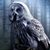 Renee J Herbert's profile image