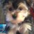 Leigh Kelley's profile image