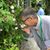 David Baranski's profile image