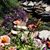 Anita Taylor Warzecha's profile image