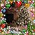 Linda Grams's profile image