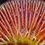 Karen Hughes's profile image